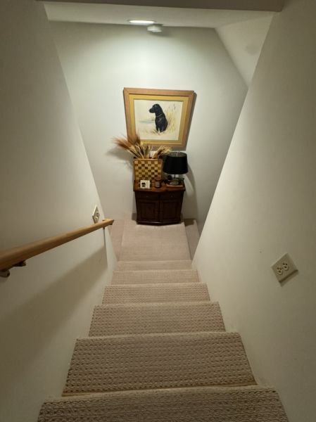 Basement Stairs